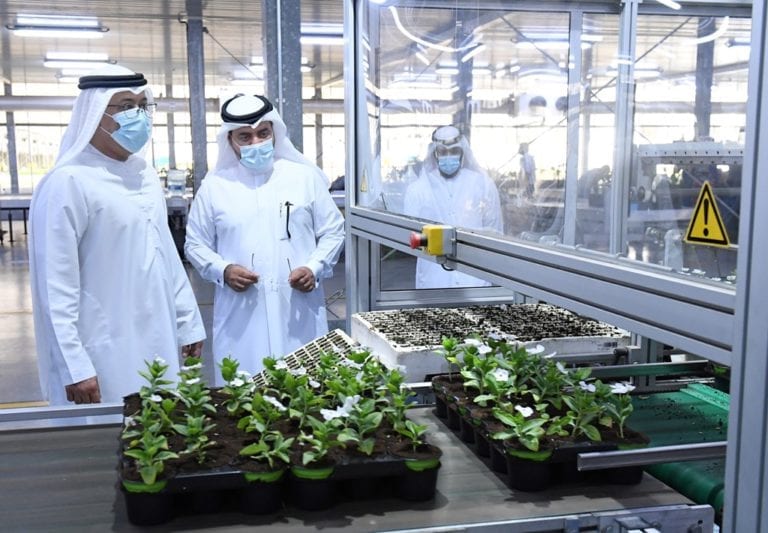 Warsan Nursery uses 100 AI technology to produce flowers