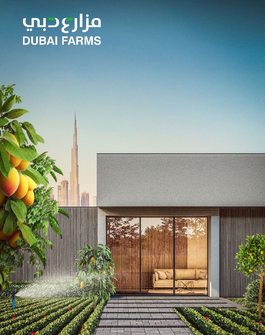 ‘Dubai’s Finest Homegrown Produce Contest revealed by Dubai Municipal’